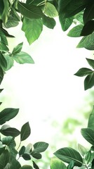 Obraz premium Enthralling Green Leaves Frame