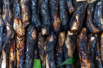 Perfectly Grilled Calçots on a Rustic Barbecue.
