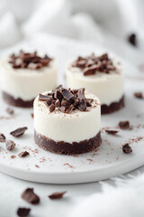 Elegant Close-Up of White Vanilla Dark Chocolate Mini Cheesecake