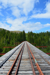 Fototapeta premium Train trestle in the woods