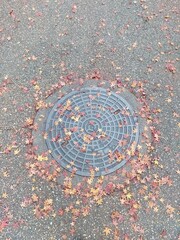 A manhole cover on a textured pavement, scattered with colorful autumn leaves in shades of red, orange, and yellow, creating a contrast between urban design and natural beauty.