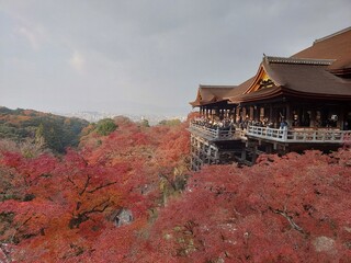 A scenic view of the Kiyomizu-dera temple in Kyoto, Japan, surrounded by vibrant red autumn foliage, overlooking a serene landscape under a partly cloudy sky.