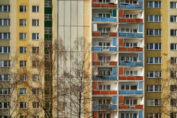 Fototapeta premium Tree branches in front of the facade with balconies of a residential high-rise building in Poznan