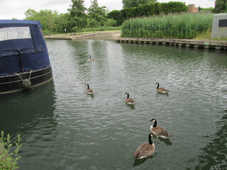 Hoddesdon, Hertfordshire, United Kingdom, July 16 2014. Views from Hoddesdon city