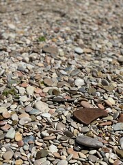 Colorful pebbles scattered across a tranquil beach shoreline