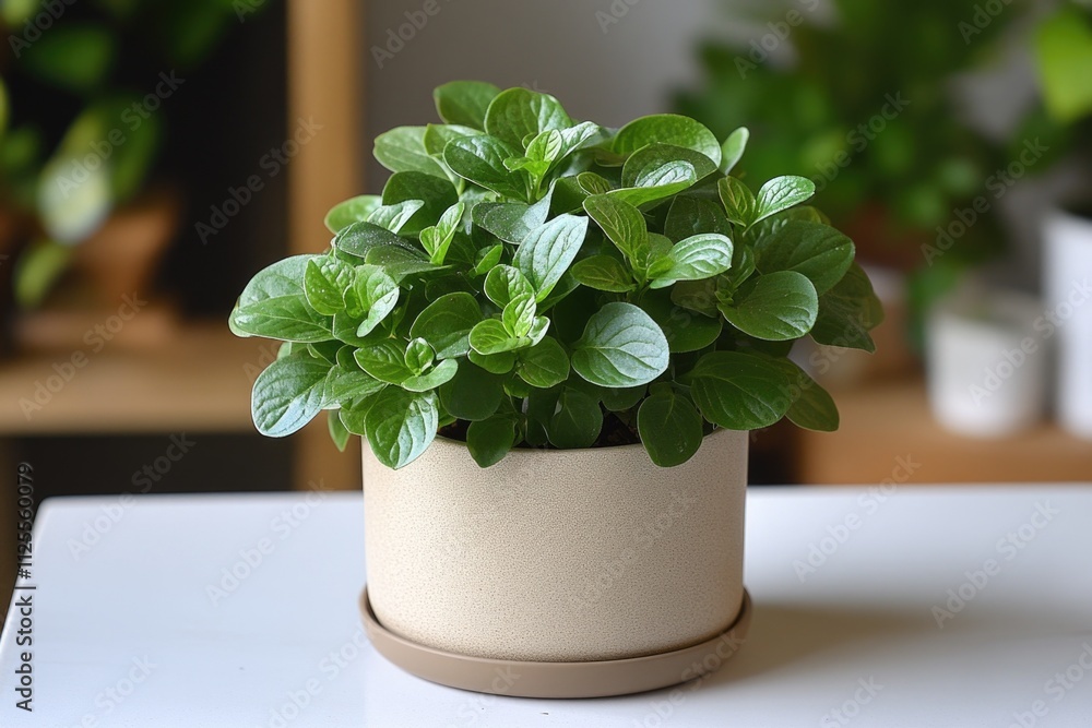 Poster A potted plant sits on a table with a simple and elegant design