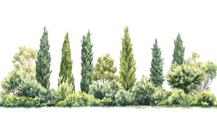 Fototapeta premium A watercolor illustration of various trees and greenery, depicting a natural landscape isolated on a white background, png transparent