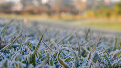 geada curitiba parana