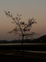 amanhecer 