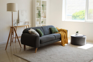 Cozy sofa, pouf and floor lamp in interior of living room