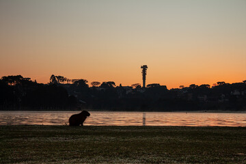 parque barigui curitiba parana © Ricardo
