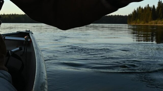 Action of a person canoeing with the focus on the hands and paddle. On northern lake.
