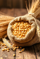 A burlap sack filled with golden wheat seeds, surrounded by stalks of wheat tied together with twine. The scene is rustic, set on a wooden surface with warm, soft lighting for a harvest-inspired photo