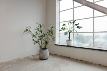 Empty room with plants, a large window, and concrete floor.  Modern industrial style.
