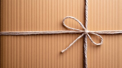 Brown cardboard box with string tied in bow
