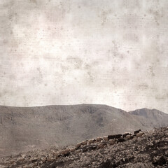textured stylish old paper background, square, with landscape of Gran Canaria with goats and sheep
