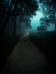 The Winding Path Through the Mist