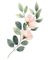 Elegant watercolor floral design with pink flowers and green leaves