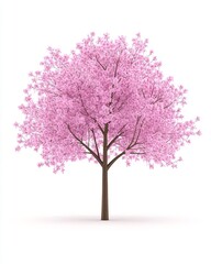 Obraz premium Blooming pink cherry blossom tree on a white background