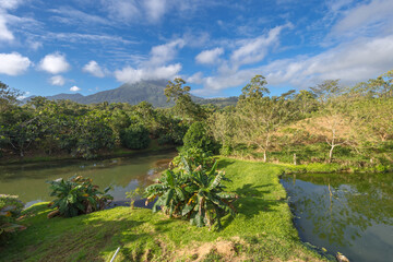 Fototapeta premium Tropical park Arenal and Volvano Arenal in Costa Rica