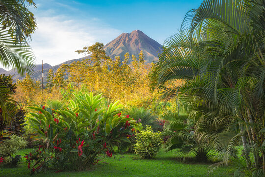 The view of the volcano Arenal in the morning  - Costa Rica