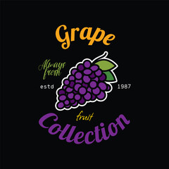 Emblem collection of fruits. Grapes. Original vector illustration in vintage style. T-shirt design.