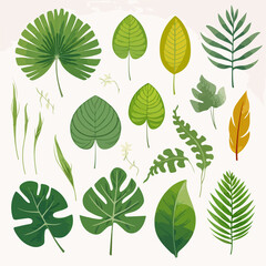 Colorful tropical leaves on transparent background for design projects