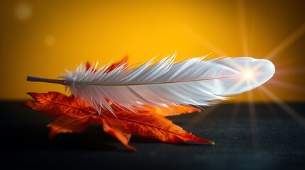 white feather and orange maple leaf National Day for Truth and Reconciliation in Canada