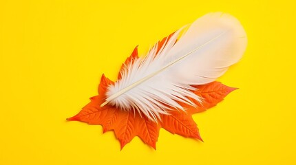 white feather and orange maple leaf National Day for Truth and Reconciliation in Canada