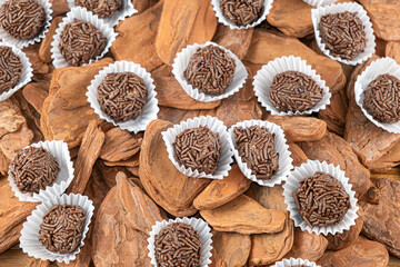 Brazilian chocolate truffle on small tree bark. Traditional Brazilian sweet_19.