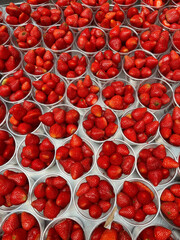 Fresh Strawberries Displayed in Individual Cups at a Market