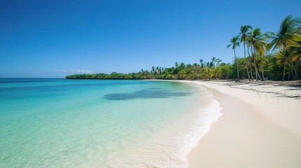 Fototapeta premium Serene Beach with Clear Turquoise Waters Under a Bright Blue Sky