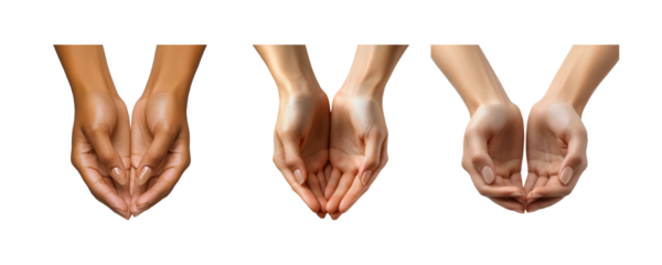 Hands in Various Skin Tones on Transparent Background