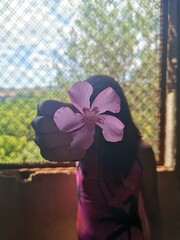 Flor rosa