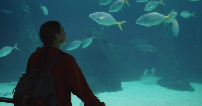 Young woman observing an underwater aquarium full of colorful fish in a dimly lit, immersive marine life exhibit