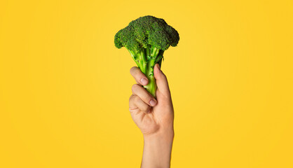 Healthy diet concept. Male hand holding broccoli on orange background, close up view. Panorama