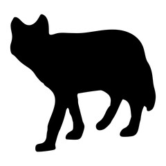 A BLACK WOLF SILOUTE RUNS AND ROARS