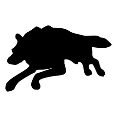 A BLACK WOLF SILOUTE RUNS AND ROARS