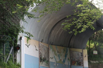 동굴, 터널, 대한민국, 식물, 나무, 굴곡, 드라이브, 나이든, home, 무로, 뜰, 윈도우, 문, 건물, 건축, 돌, 담쟁이, 거리, 네이처, 나무, 나뭇잎, blue, 식물, sky, 도어, 고대, 목초