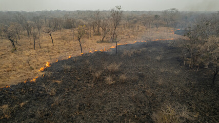 Queimadas Terra Ind&iacute;gena Kadiweu - Pantanal
Wetlands fire