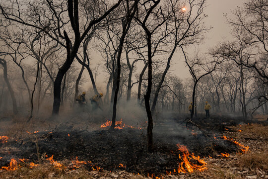 Queimadas Terra Ind&iacute;gena Kadiweu - Pantanal
Wetlands fire