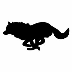 A BLACK WOLF SILOUTE RUNS AND ROARS