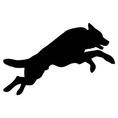 A BLACK WOLF SILOUTE RUNS AND ROARS