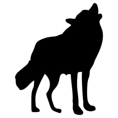 A BLACK WOLF SILOUTE RUNS AND ROARS