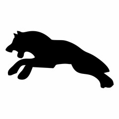 A BLACK WOLF SILOUTE RUNS AND ROARS