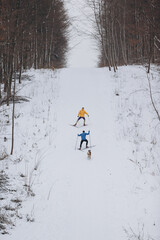 Professional cross-country skiers training with a dog on a snowy forest trail