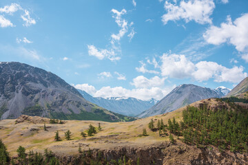 View above cliff to alpine green valley and large mountain range with snowy top far away. Sparse conifer trees on precipice edge in high mountains. Open coniferous forest on rocky wall above abyss.