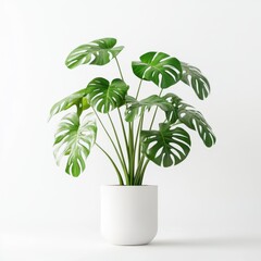 Lush modern indoor plant elegantly 