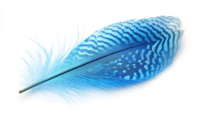 Close-up of a vibrant blue feather showcasing intricate patterns and textures isolated on a white background for artistic use.