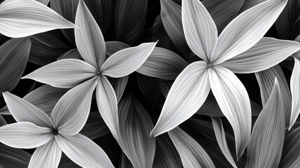 Black and white botanical illustration featuring textured leaves and flowers with contrasting shades of gray highlighting natural beauty